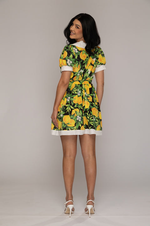 Rochie de zi Cute Lemon