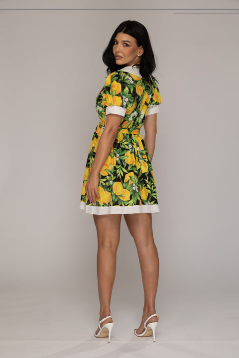 Rochie de zi Cute Lemon